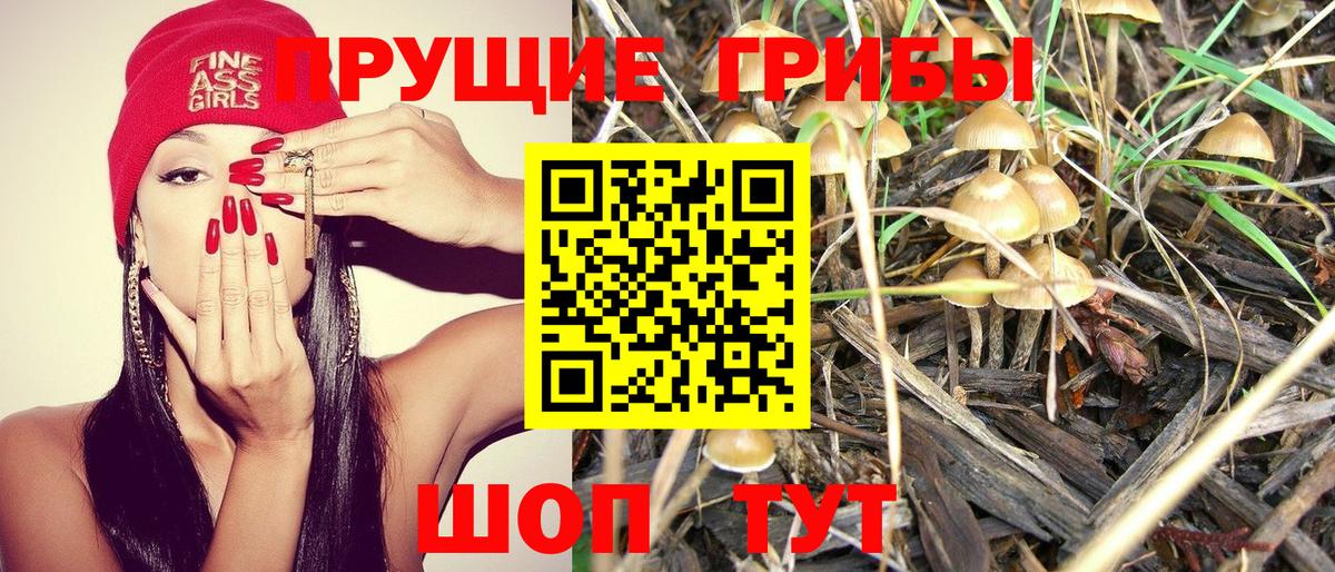 Семилуки  Псилоцибиновые грибы Magic Shrooms  Вход с VPN 