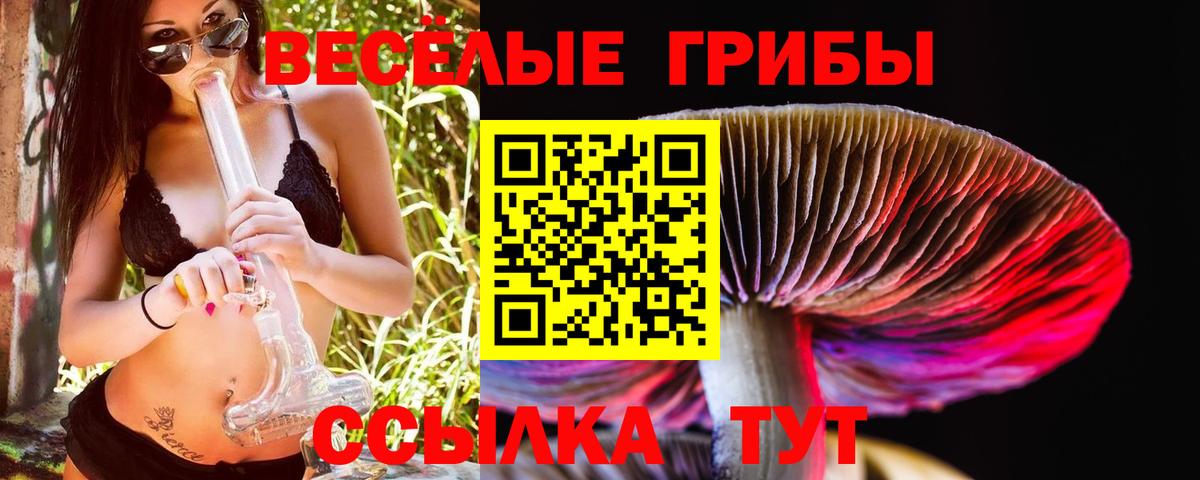 Галлюциногенные грибы мухоморы Семилуки